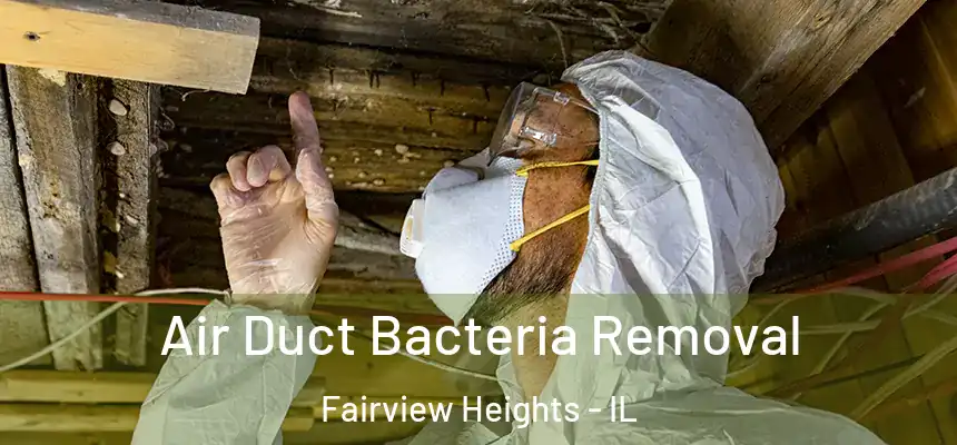  Air Duct Bacteria Removal Fairview Heights - IL