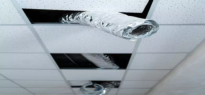 Affordable HVAC Sanitizing After Pest Removal in Fairview Heights