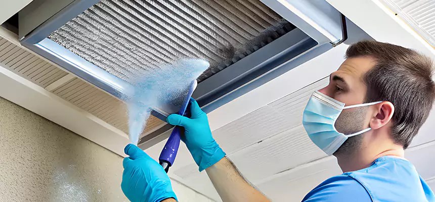 Proactive Dryer Vent & Auxiliary Duct Pollen Cleanup in Fairview Heights, IL