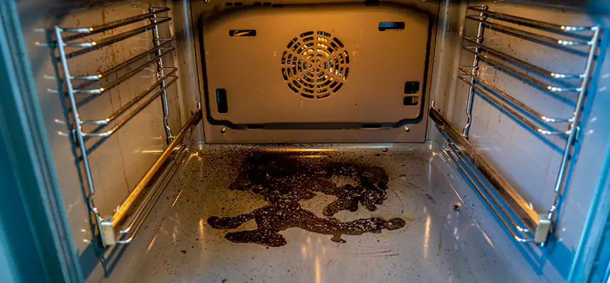 Our Dryer Vent Mold Cleaning Services in Fairview Heights, IL