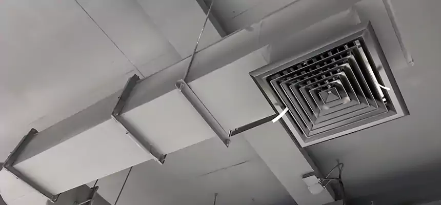 Our Pest Removal From Ducts Services in Fairview Heights, IL