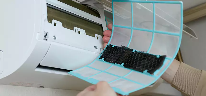 Gentle Ductwork Odor-Control Pet Dander Duct Cleaning in Fairview Heights, IL