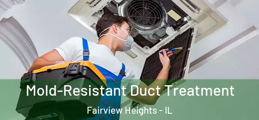  Mold-Resistant Duct Treatment Fairview Heights - IL