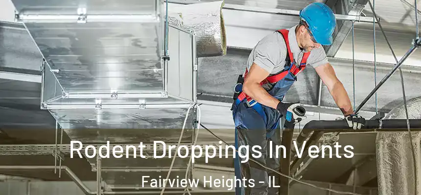  Rodent Droppings In Vents Fairview Heights - IL