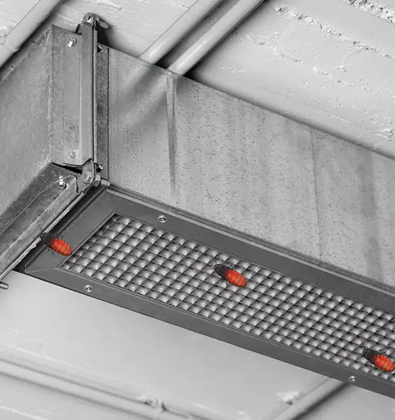 About Air Duct Cockroach Removal in Fairview Heights, IL