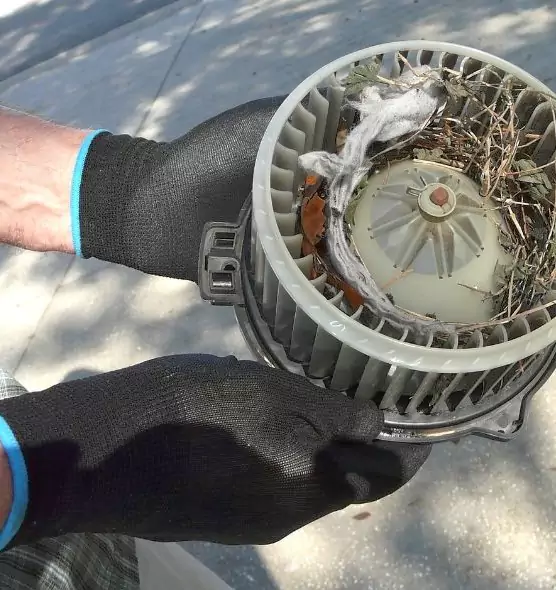 About Air Duct Rat Removal in Fairview Heights, IL